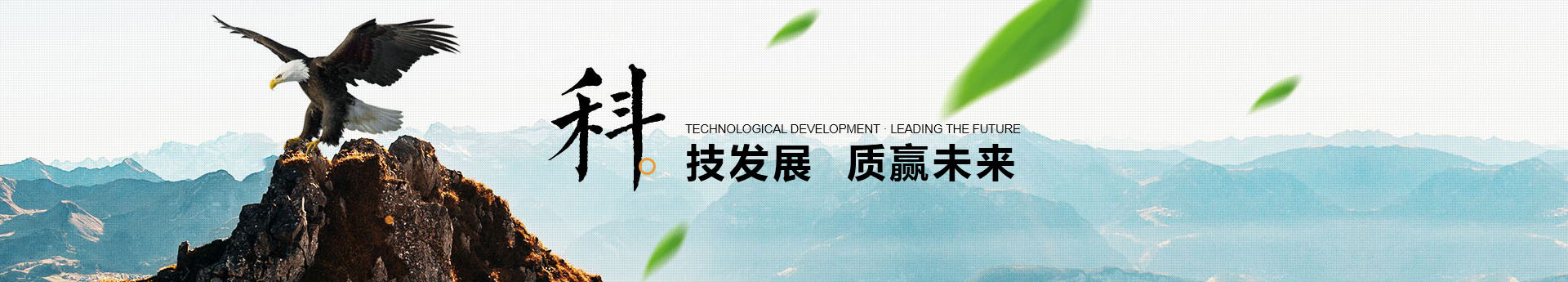 中壓壓球機(jī)